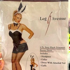Adult Costume - Sexy Bunny Costume